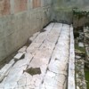 Arxaios Dromos 100